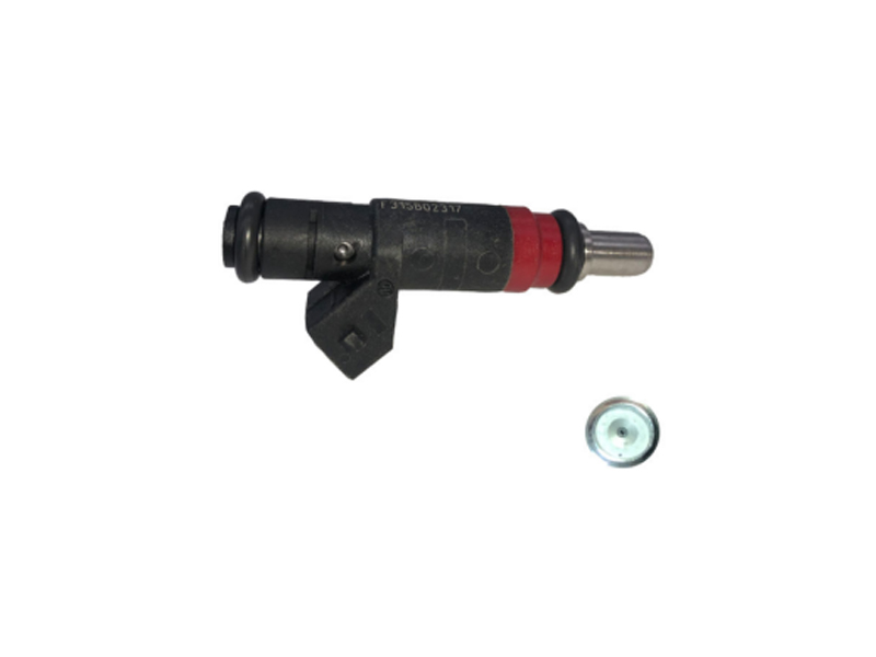 21150162D Buinne Injector Breosla